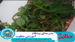 آموزش اجزاء گیاه قسمت دوم به جهت آموزش نوگلان پیش دبستان مستقل علوی اصفهان