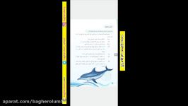 عربی دهم ریاضی تجربی  درس 7  قسمت اول  استاد جمالزاده