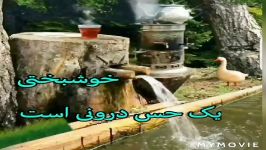 سفیدا رو عمل نکنین