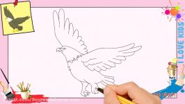 آموزش نقای عقاب  نقاشی ساده عقاب  چونه عقاب بکشیم