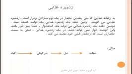 مجتمع تمام هوشمند خدیجه کبریس پایه نهم زیست زنجیره غذایی