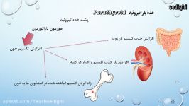 زیست شناسی تیزهوشان پایه هشتم فصل هورمون ها غده های پاراتیروئید مدرس صدیقی