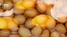 تخم مرغ معجزه ای برای کاهش وزن