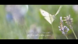 طال السفر  عبدالحسین الشاوردی  الفلاحیة 2020