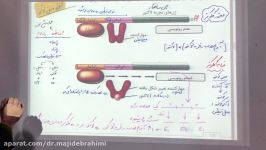 زیست شناسی دوازدهم تنظیم بیان ژن منفی پروکاریوتها