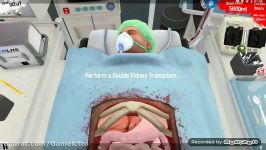 Surgeon Simulator kidney 