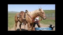 طریقه سوار شدن روی زین اسب زین کابویی