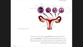 زیست یازدهم وقایع پس لقاح بخش دوم 