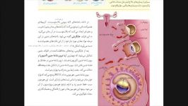 زیست یازدهم وقایع پس لقاح بخش سوم