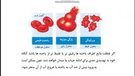 آموزش زیست شناسی دهم تجربی فصل پنجم قسمت اول جابری