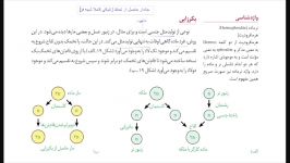 زیست یازدهم بکرزایی بخش اول