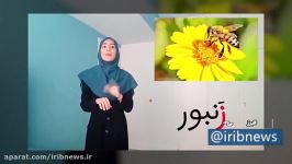 آموزش دانش آموزان استثنایی در این روز‌های کرونایی