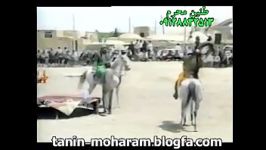 حر حضرت عباس مرحوم مشایخی حسن نرگسخوانی 82 سیان