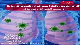 چگونه مانع ورود ویروس کرونا به ریه ها شویم