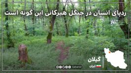 ردپای انسان در جنگل هیرکانی این گونه است