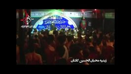 داود عسگری شب 21 محرم الحرام 1393 محبان الحسینع کاشان