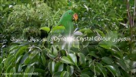 فناوری Dynamic Crystal Colour در تلویزیونهای سامسونگ