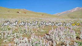 نیمایی‌ای داوود خانی‌خلیفه‌محله برای سرزمین زخم‌دارِ گیل‌و‌دیلمِ کُهن‌گُهَر