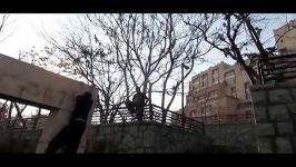 Morteza ahmadi parkour   A massive lost