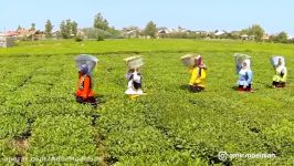 ز کوی یار می آید نسیم باد نوروزی  Nowruz