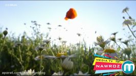 حسن زیرک نوروز ـ ویدیو موزیک جدید کُردی سالی تازیه نوروزه حسن زیرک