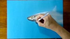 Drawing Time Lapse Shark