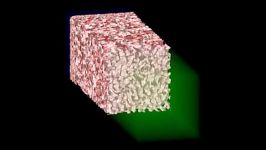 Membrane Fabrication Dynamics by Wet Phase Inversion