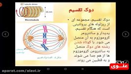 علوی  زیست یازدهم  فصل ششم  گفتار اول 2