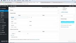 ۲۹ کار کردن custom field ها  آموزش توسعه پلاگین وردپرس