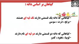 علوم چهارم درس 12 گوناگونی گیاهان