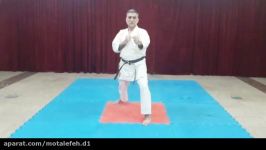 آموزش مجازی ورزش تکنیک دست پا رشته کاراته دبیرستان شهدای موتلفه اسلامی
