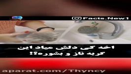 کی دلش میاد این گربه ناز رو بشوره؟