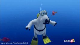 Bernard Bear HD  20  Scuba Diving
