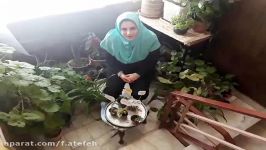 علوم تجربی پنجم پسرانه دبستان معراج درس11 بکاریدوبخورید مدرس خانم عاطفه باقری