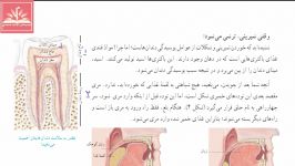 آموزش علوم تجربی پایه هفتم فصل13  سفر غذا بخش3