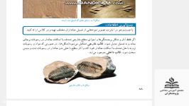 ادامه دوره فصل 9 فیلم6 .خانم احمدی مدرس زیست. مجتمع پژهشگران.2 اردیبهشت