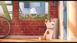 تریلر اول انیمیشن The Secret Life of Pets 2016