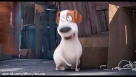 تریلر پنجم انیمیشن The Secret Life of Pets 2016