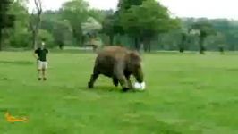 فیل مشتاق فوتبال
