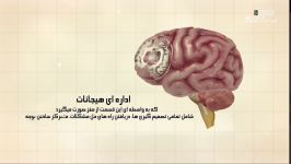 معجزات قرآن محل دروغ در مغز