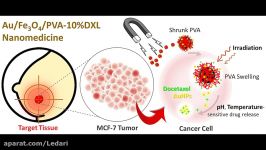 دارو رسانی هدفمند نانوذرات مغناطیسی هیبریدی