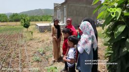 دورت بگردم ایران  روستای دره تفی مزرعه توت فرنگی