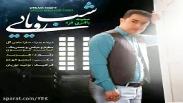 آهنگ سعید باقری فرد  شب رویایی