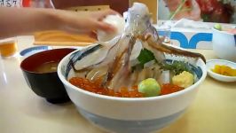 غذای سنتی ژاپنی رقص ماهی مرکب