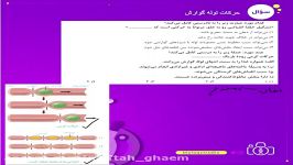 زیست شناسی ،مدرس آقای قربان زاده، دوازدهم ، حل سوال حرکات لوله گوارش