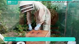 آموزش زنبورداری  طرح پرورش زنبور  پرورش زنبور مدرن  02128423118