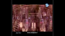 تولید گلاب اسانس در لاله زار کرمان