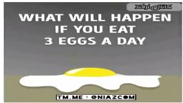 چه اتفاقی خواهد افتاد اگر شما روزانه 3 عدد تخم مرغ بخورید ️