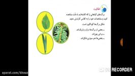 علوم پایه سوم ابتدایی درس11  خانم شیرک زاده ازدزفول