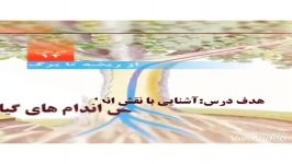 علوم تجربی درس ۱۲ مدرس گلناز رحمانیان ماهشهر